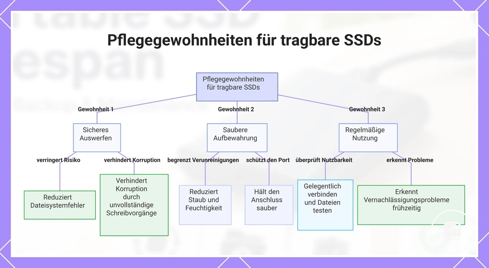 Pflegegewohnheiten für tragbare SSDs