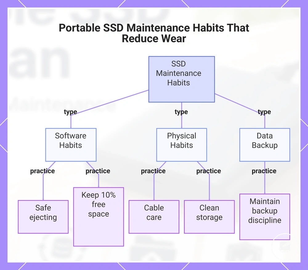 Portable SSD Maintenance Habits That Reduce Wear