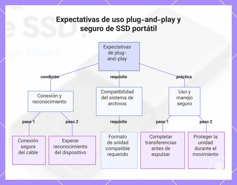 Expectativas de uso plug-and-play y seguro de SSD portátil