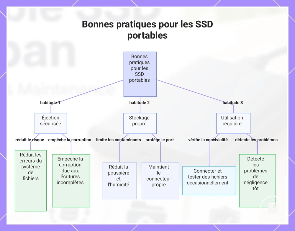 Bonnes pratiques pour les SSD portables