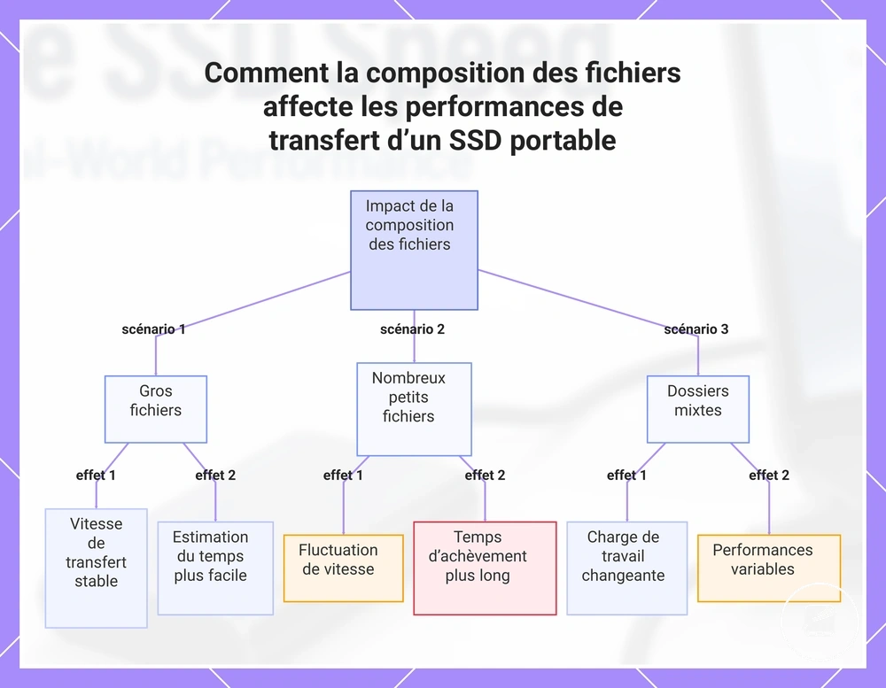 Comment la composition des fichiers affecte les performances de transfert d’un SSD portable