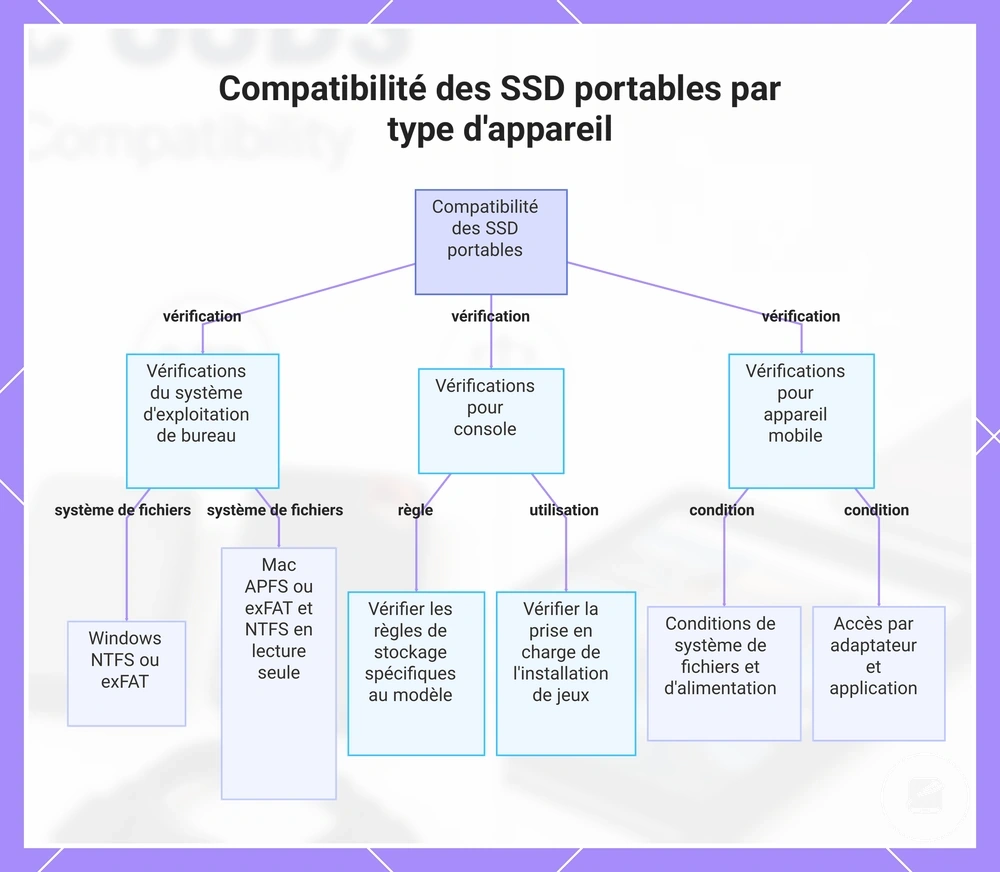 Compatibilité des SSD portables par type d'appareil