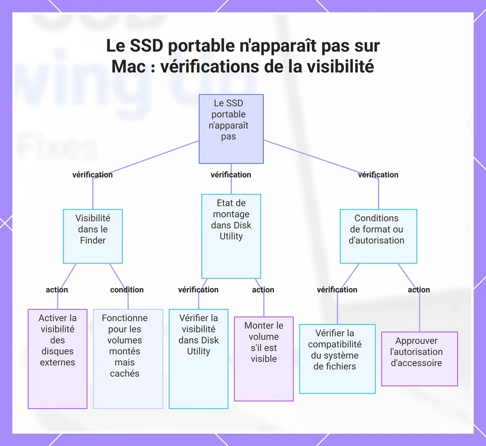 Le SSD portable n'apparaît pas sur Mac : vérifications de la visibilité
