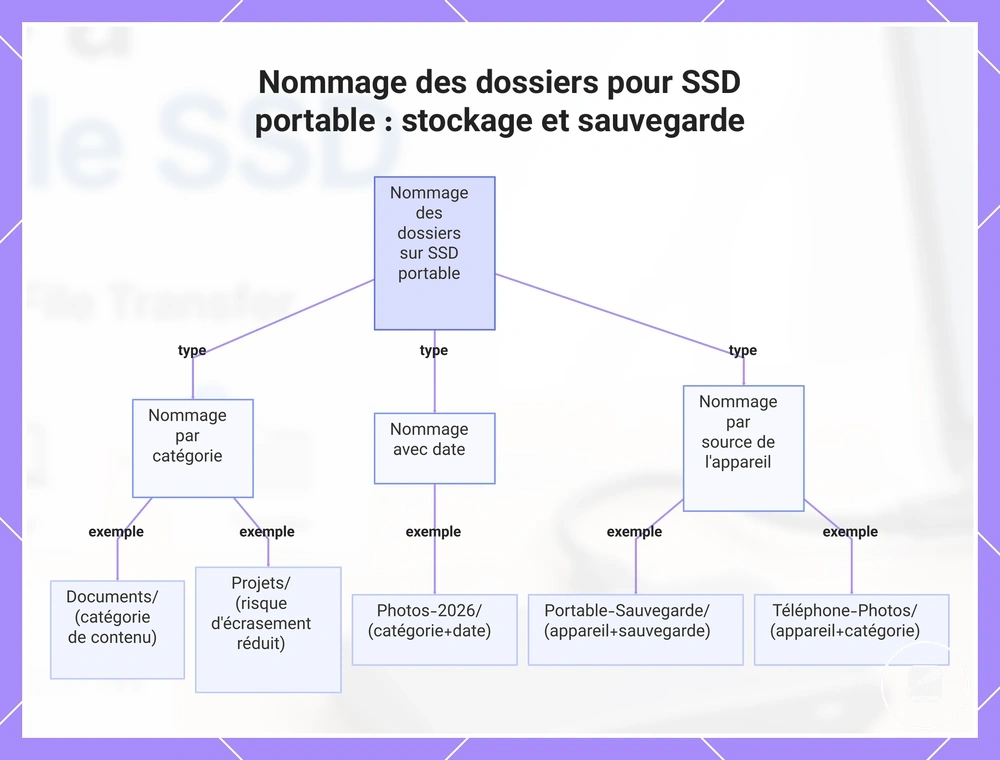 Nommage des dossiers pour SSD portable : stockage et sauvegarde