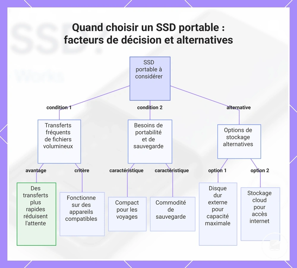 Quand choisir un SSD portable : facteurs de décision et alternatives