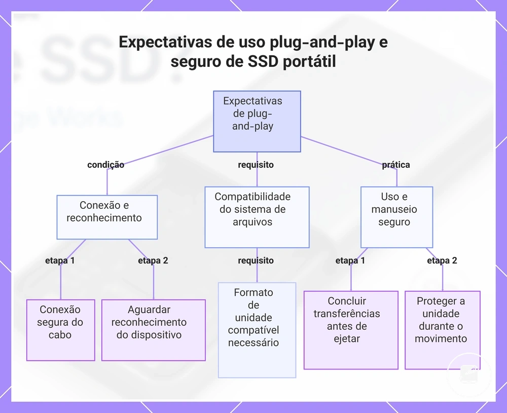 Expectativas de uso plug-and-play e seguro de SSD portátil