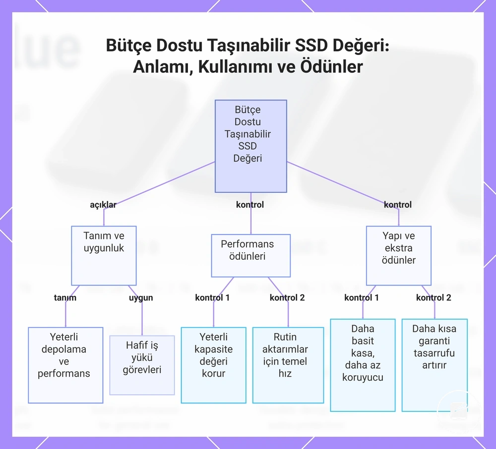 Bütçe Dostu Taşınabilir SSD Değeri: Anlamı, Kullanımı ve Ödünler