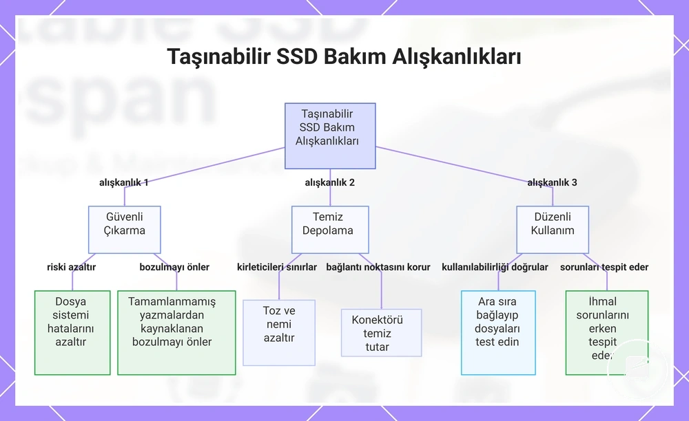 Taşınabilir SSD Bakım Alışkanlıkları