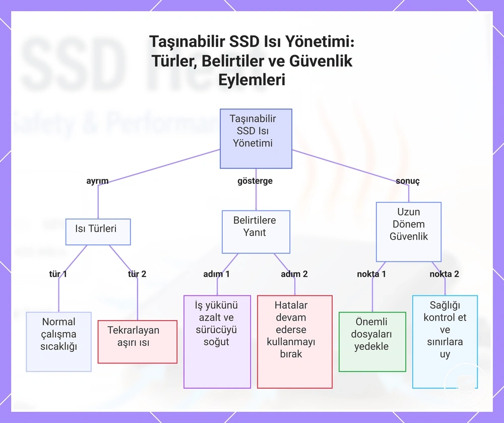 Taşınabilir SSD Isı Yönetimi: Türler, Belirtiler ve Güvenlik Eylemleri