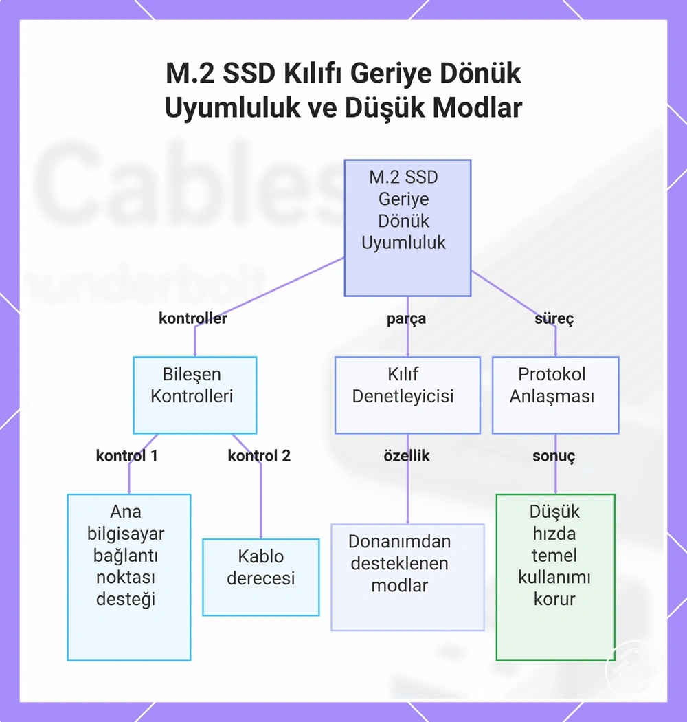 M.2 SSD Kılıfı Geriye Dönük Uyumluluk ve Düşük Modlar