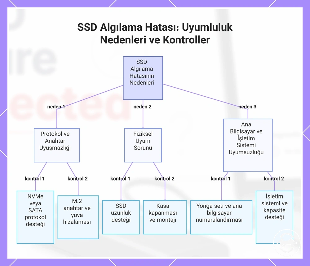 SSD Algılama Hatası: Uyumluluk Nedenleri ve Kontroller