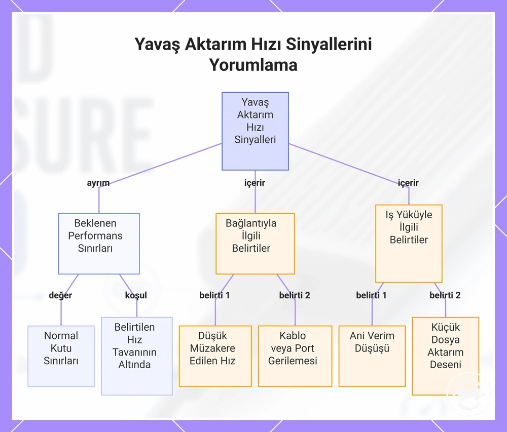 Yavaş Aktarım Hızı Sinyallerini Yorumlama